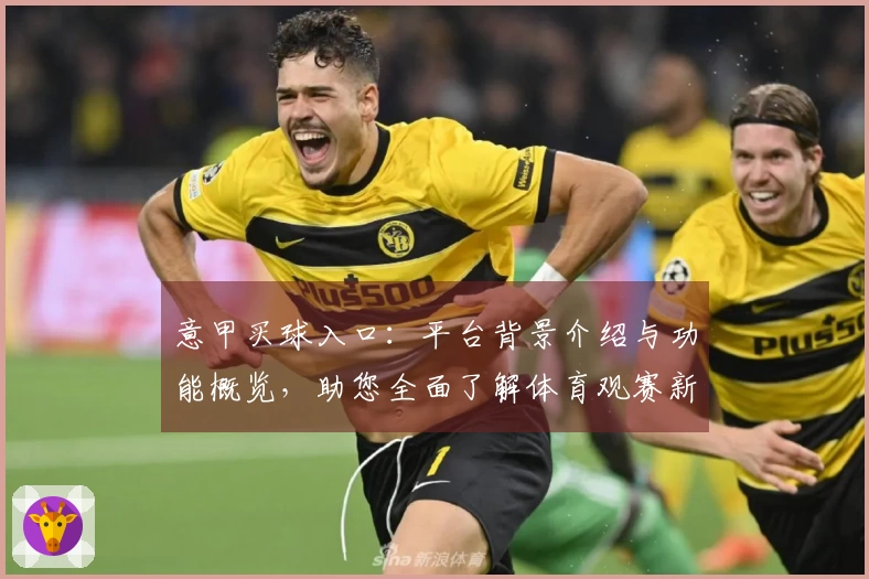 意甲买球入口：平台背景介绍与功能概览，助您全面了解体育观赛新体验