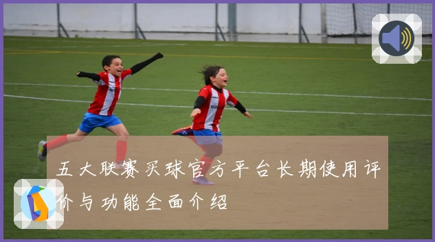 五大联赛买球官方平台长期使用评价与功能全面介绍