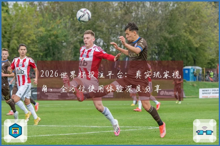 2026世界杯投注平台：真实玩家视角，全方位使用体验深度分享