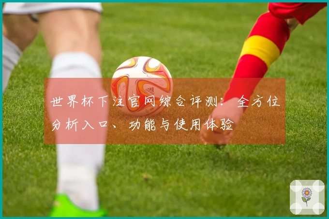 世界杯下注官网综合评测：全方位分析入口、功能与使用体验