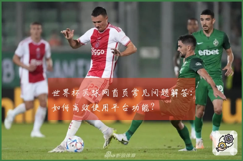 世界杯买球网首页常见问题解答:如何高效使用平台功能?