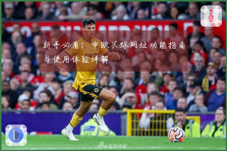 新手必看：中欧买球网址功能指南与使用体验详解