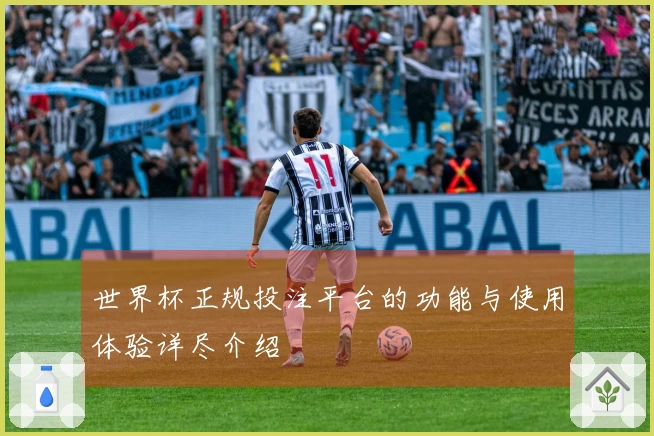 世界杯正规投注平台的功能与使用体验详尽介绍