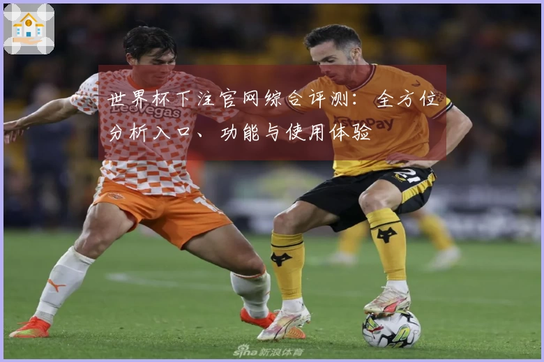 世界杯下注官网综合评测：全方位分析入口、功能与使用体验