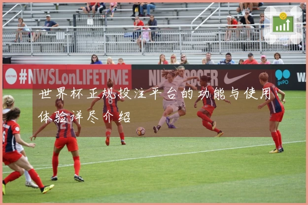 世界杯正规投注平台的功能与使用体验详尽介绍
